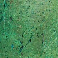 Rustic Green
