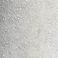 White Coral