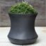 Jura Planter, Tall (terracotta In Graphite Glaze)