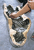 Step1 Mold