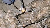 Step7 Welding